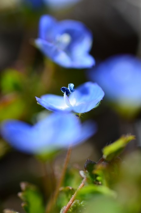 b0236334_2020823.jpg