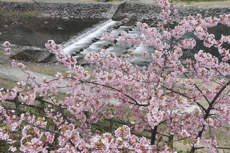 b0042837_6473761.jpg