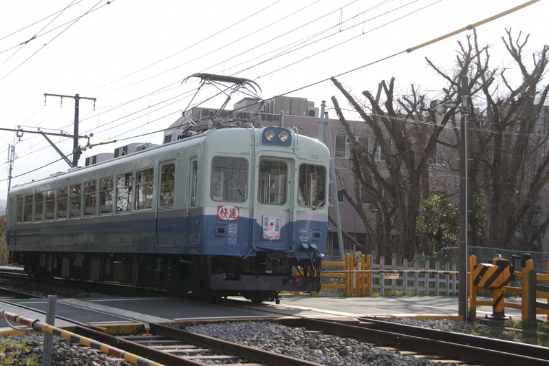 b0042837_6521681.jpg