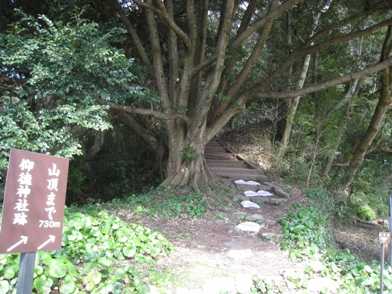c0077338_22311579.jpg