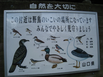c0077338_22314411.jpg
