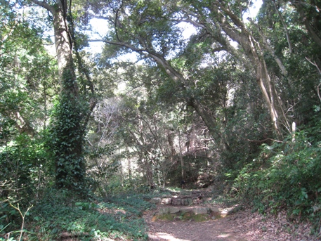 c0077338_223228100.jpg