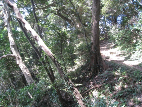c0077338_22324727.jpg