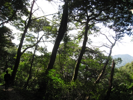 c0077338_2233339.jpg