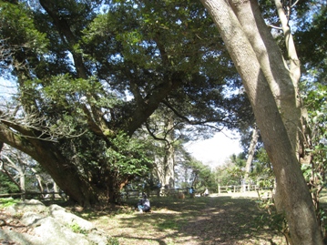 c0077338_22345636.jpg