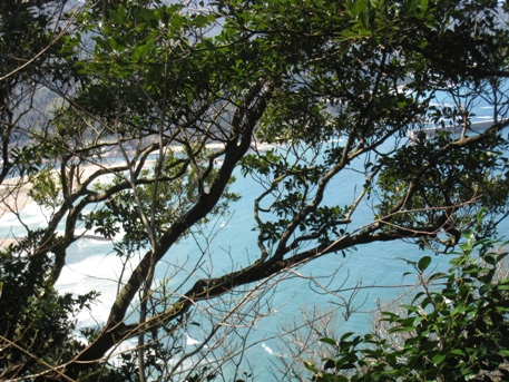 c0077338_22351520.jpg