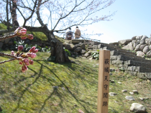 c0077338_22353544.jpg