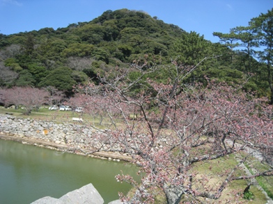 c0077338_22355499.jpg