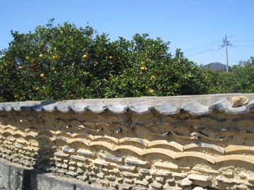 c0077338_22372812.jpg