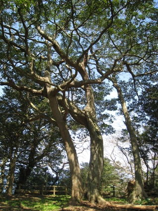 c0077338_23271746.jpg