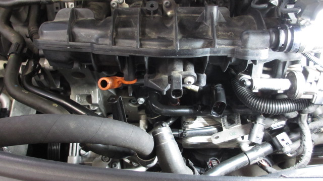c0099339_20142654.jpg
