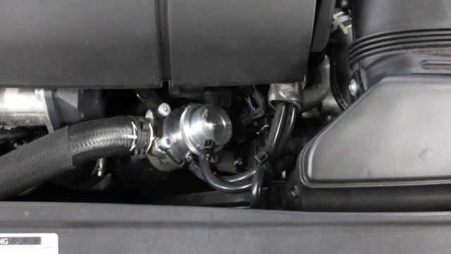 c0099339_20261567.jpg