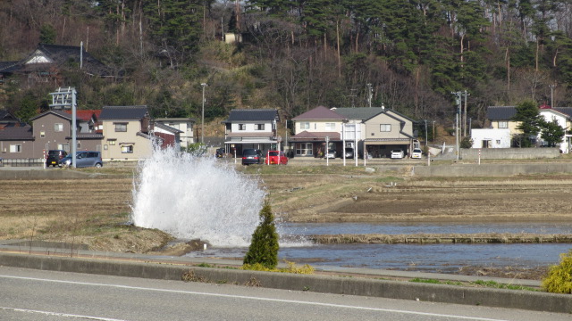 c0099339_20403533.jpg