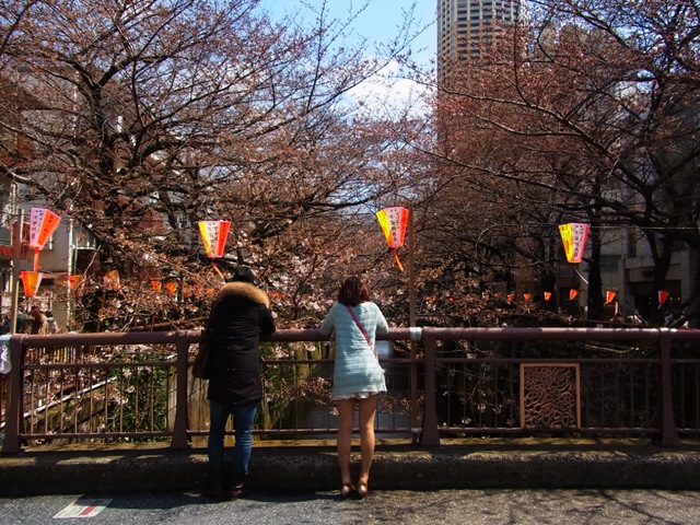 a0087341_22201487.jpg