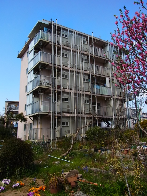 a0087341_2243279.jpg