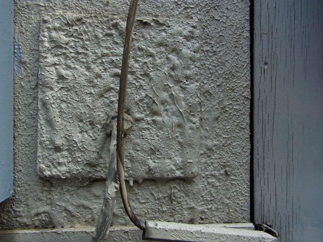 a0087341_22462236.jpg