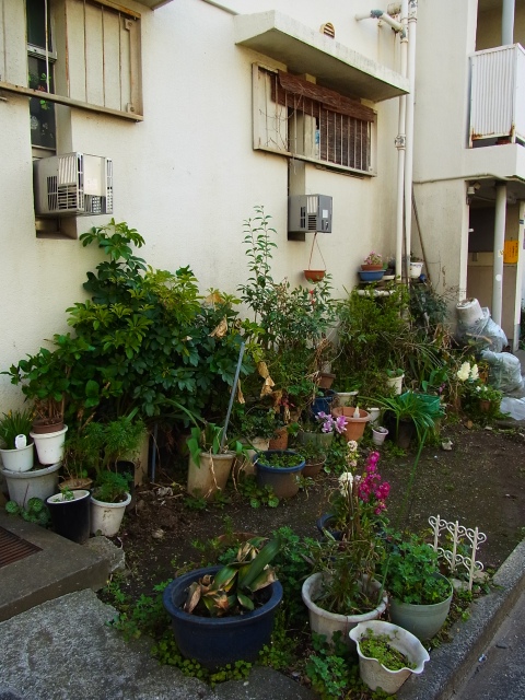 a0087341_2392476.jpg