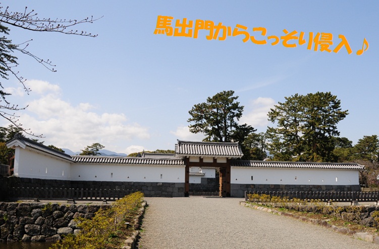 c0147241_22474342.jpg