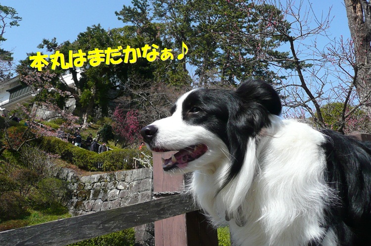 c0147241_22481014.jpg