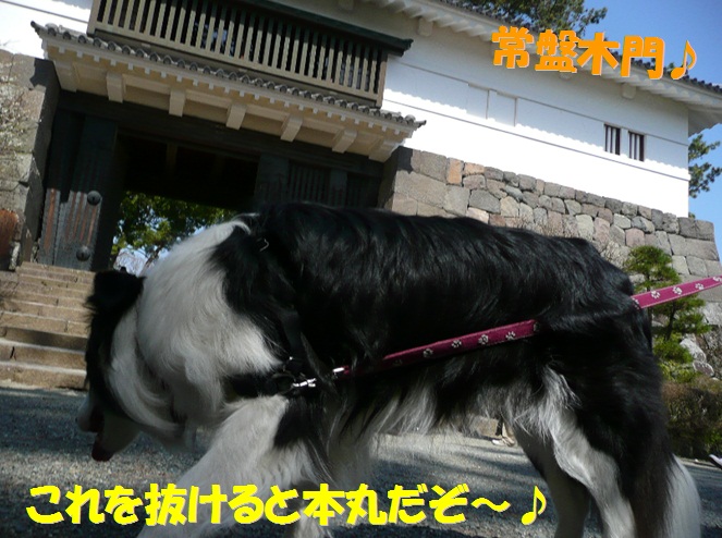 c0147241_22483331.jpg