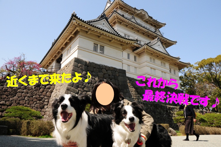 c0147241_22485220.jpg