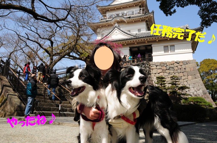 c0147241_22491631.jpg