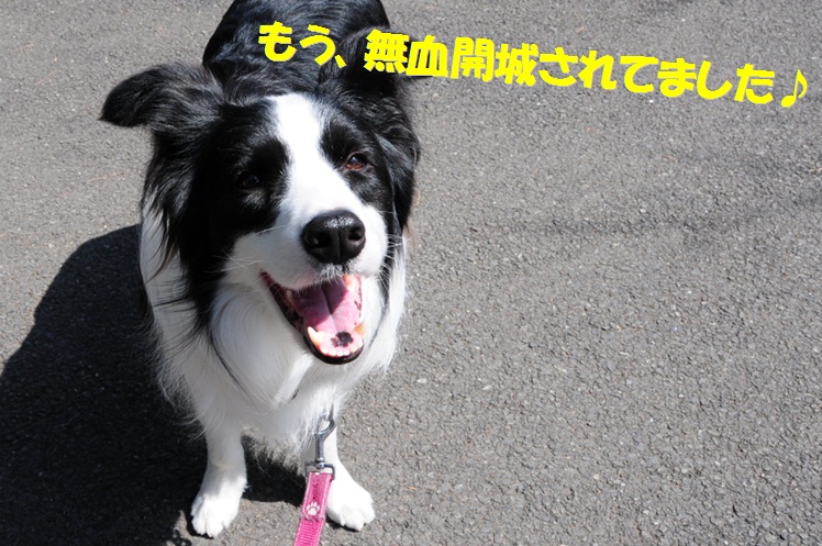 c0147241_2249424.jpg