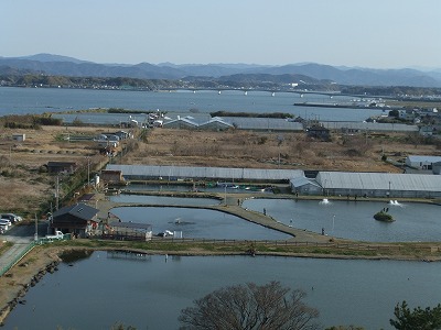 e0173645_12223014.jpg