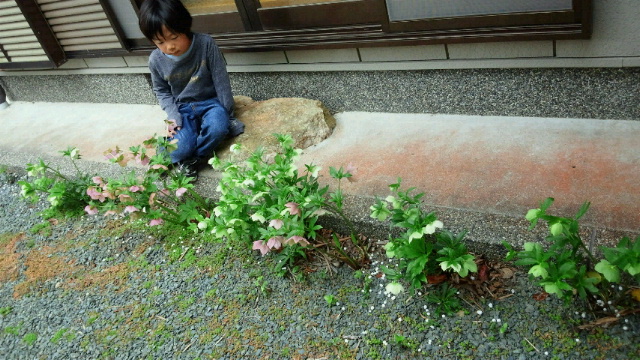 c0241952_17355913.jpg