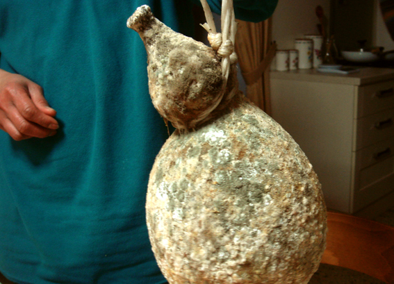 f0178153_40828.jpg