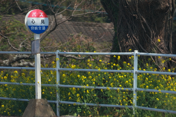 d0188155_6322993.jpg