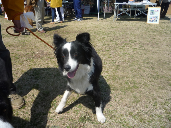 a0157156_21215341.jpg