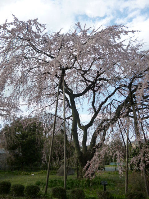 d0008157_1911299.jpg