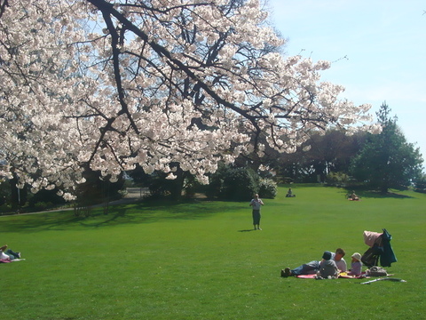 c0059063_5183232.jpg