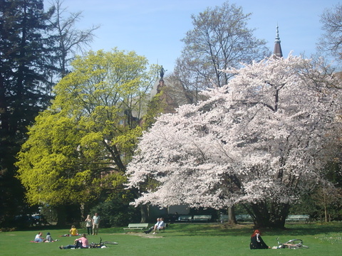 c0059063_5232491.jpg