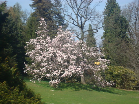 c0059063_5265040.jpg
