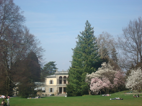 c0059063_528522.jpg