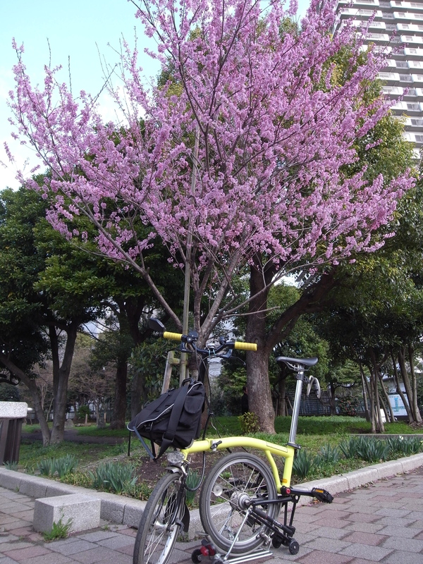 b0204466_20123840.jpg