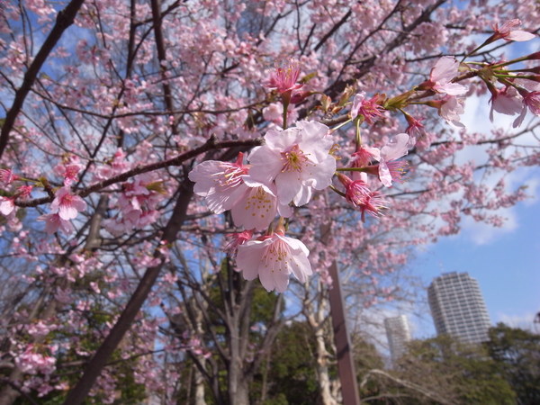 b0204466_2081010.jpg