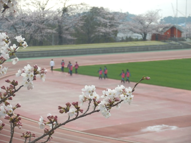 c0042869_199521.jpg