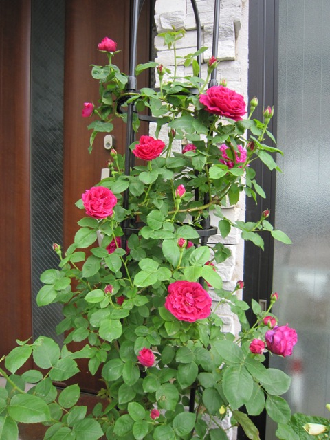 c0202870_21551856.jpg