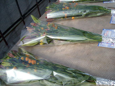 e0097770_23484841.jpg