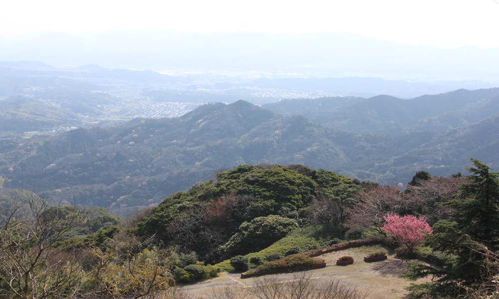 d0126573_22172888.jpg