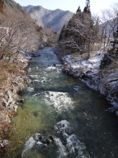 d0134473_1231383.jpg