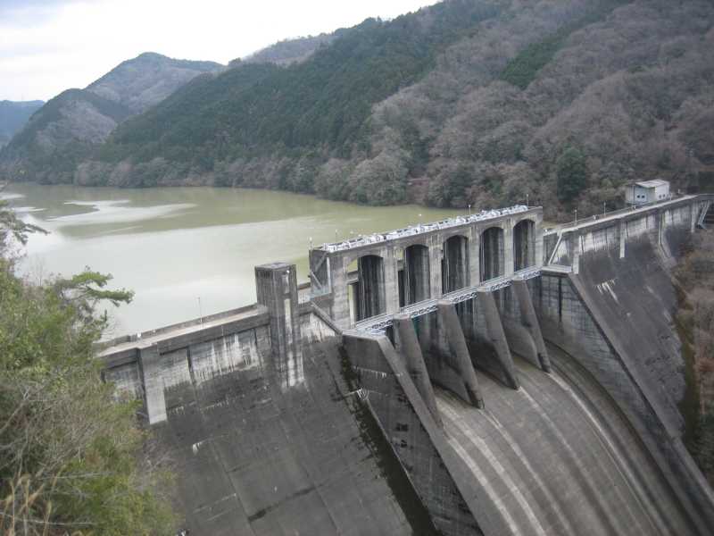 d0171780_22839.jpg