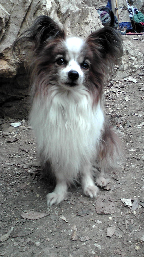 f0223480_12451980.jpg