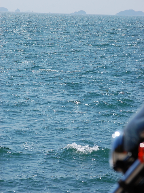 d0179983_1705855.jpg