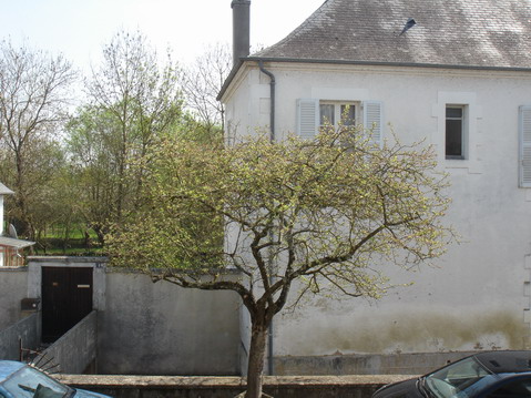a0247585_544241.jpg