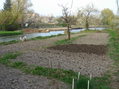a0247585_691330.jpg
