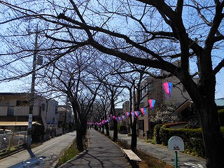 e0121589_20283075.jpg
